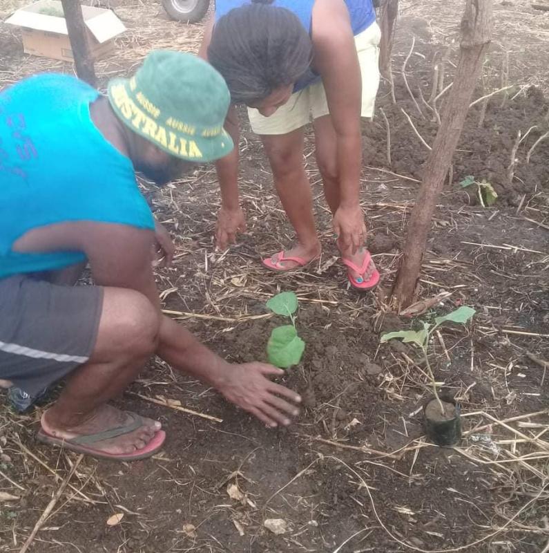 POSITIVELY ACT, PLANT TODAY