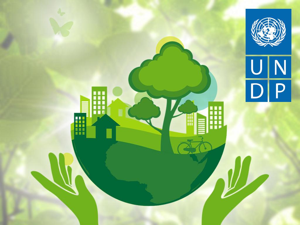 Environmental Development Programme