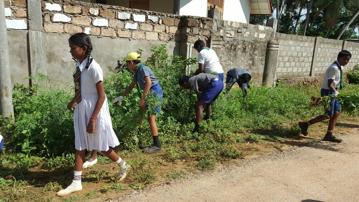 weed removing from school surrounding area