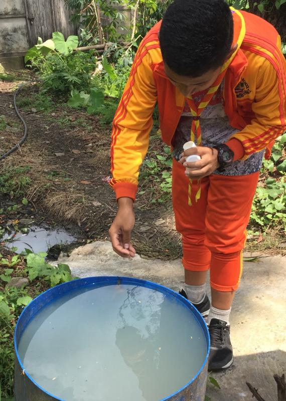 Dengue prevention 