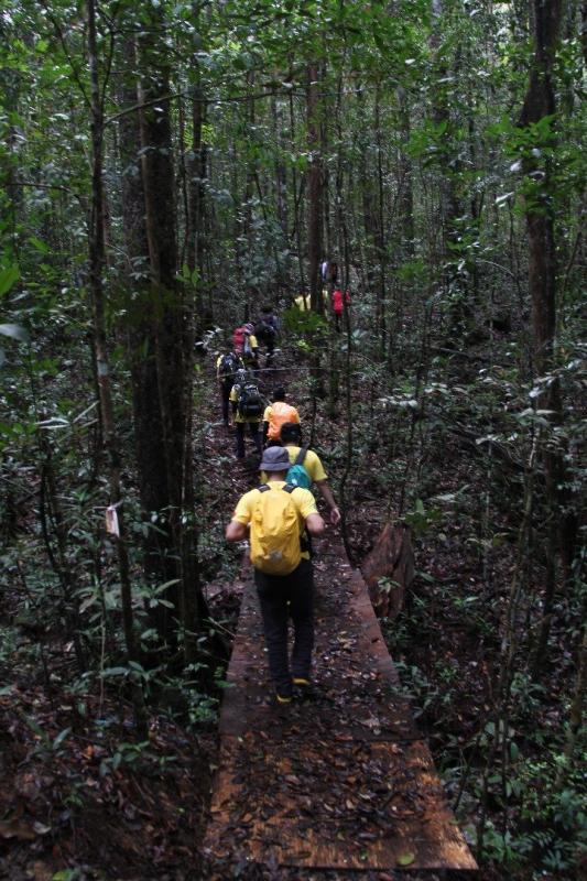 Trans Jerai 2.0 2017