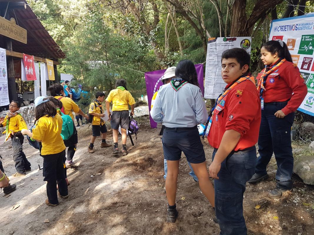 Scouts Go Solar