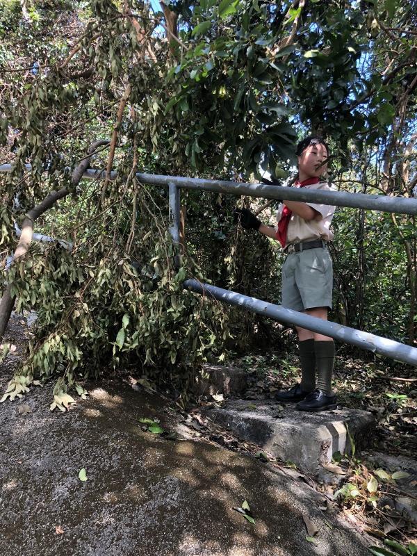 Community Cleaning