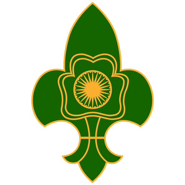 18th virtual meeting of #BSGHP