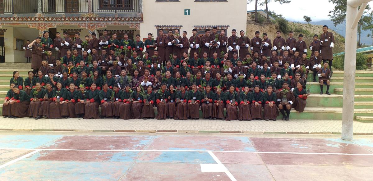 scout area adoption and plantation