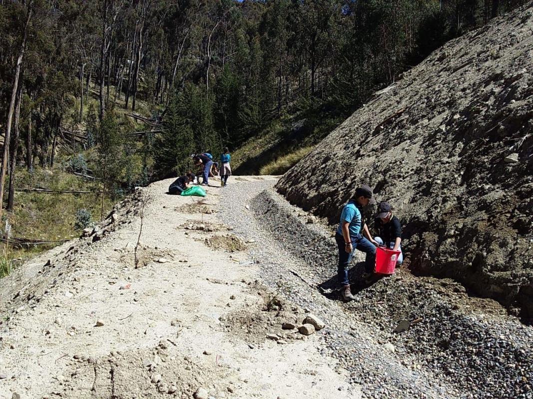 Reforestacion Autopista La Paz- El Alto