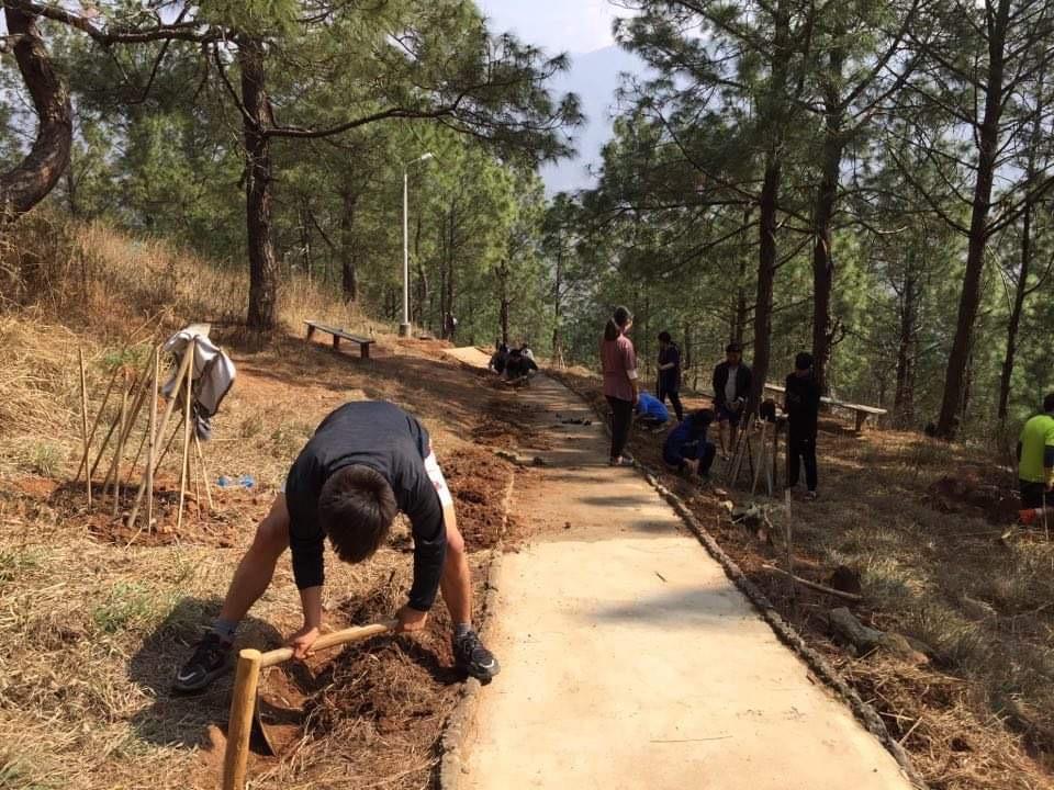 Greener the environment, healthier the earth