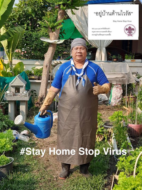 สร้างแรงบันดาลใจให้ชุมชนปลูกผักปลอดสารเคมี