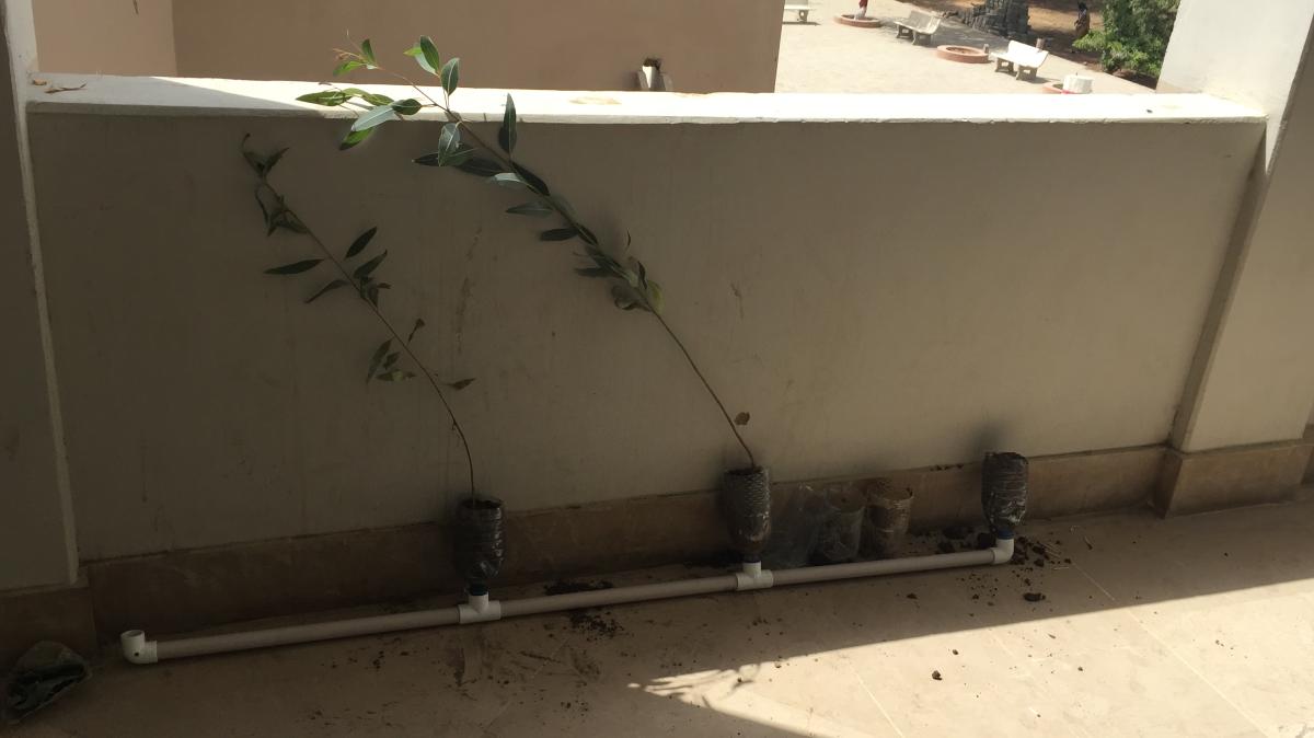 Peaceful action for a better tomorrow 