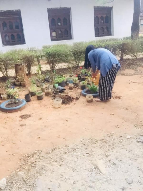 Flower Plantation