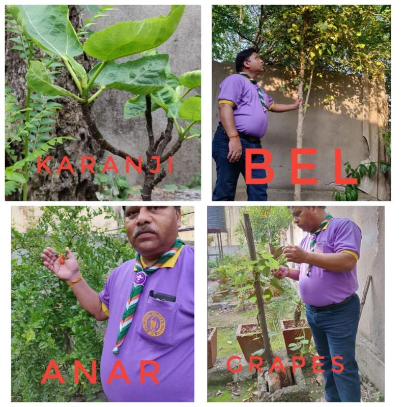 Sankalp - BSG B.Environment & Sustainability Challenge -4-#Goorganic By Ramesh Patnaik