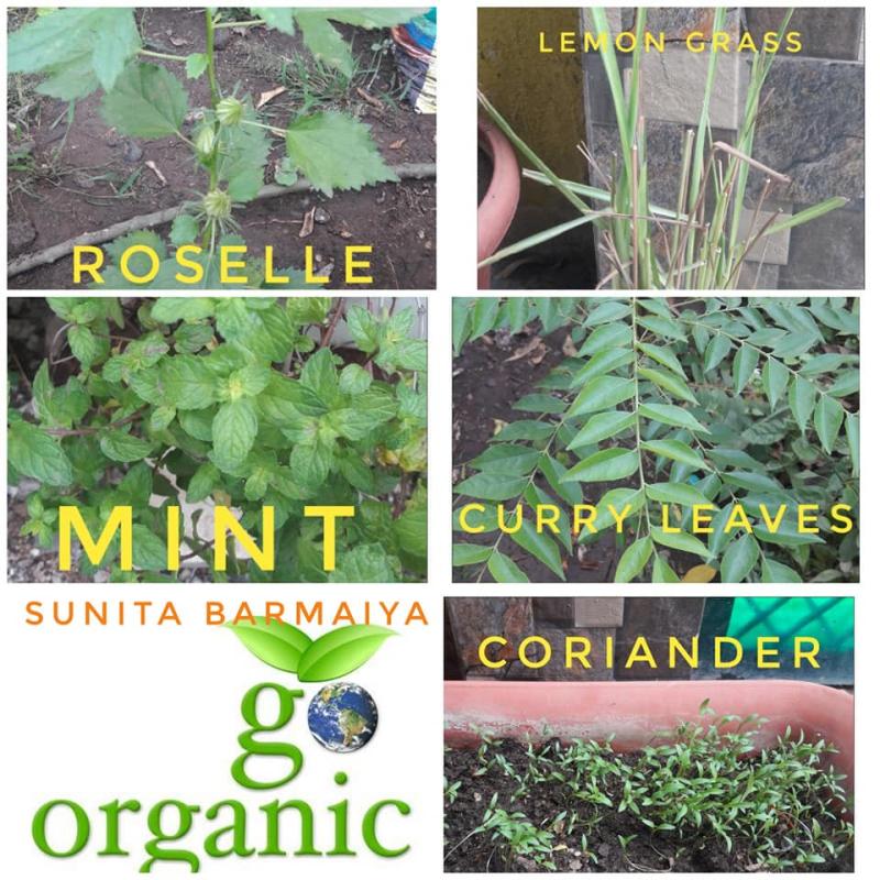 B.Environment & Sustainability Challenge -4-#Goorganic By Sunita Barmaiya, STC {G}/ SECR