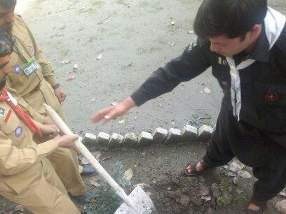 Spring Tree Plantation 2014