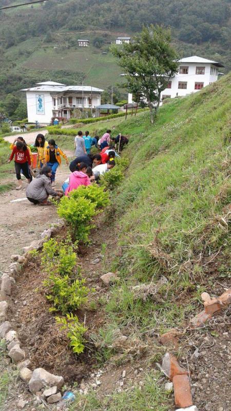 Construction of footpath and flower garden 