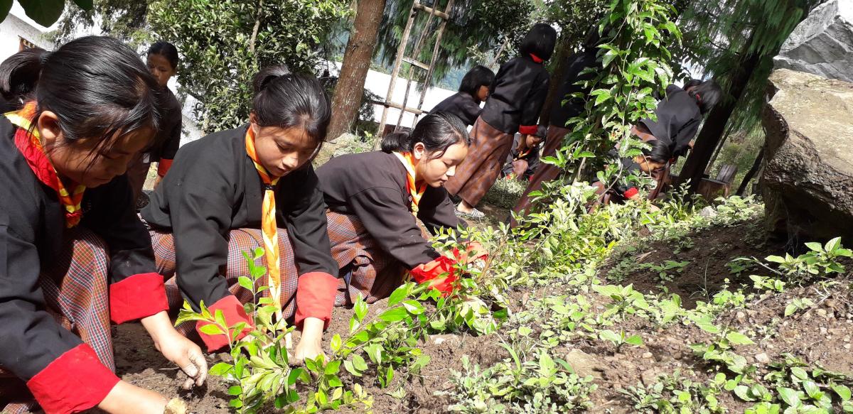 Celebration of International Peace Day