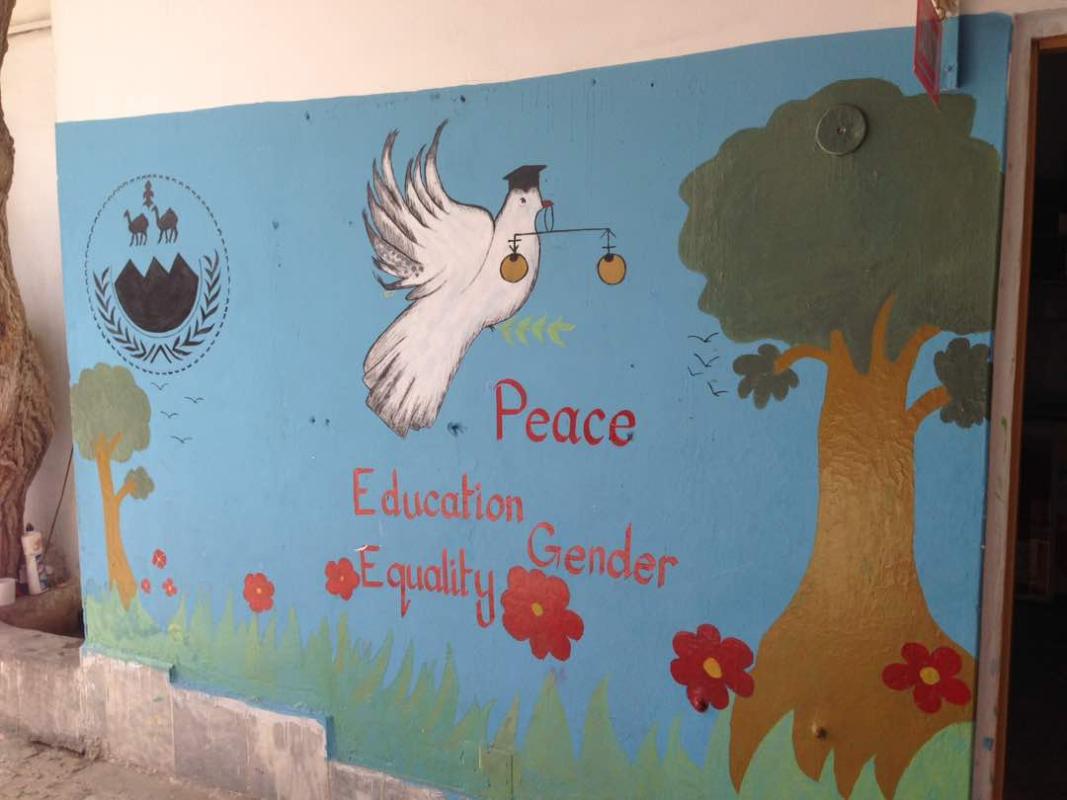 Schools Wall Campaign