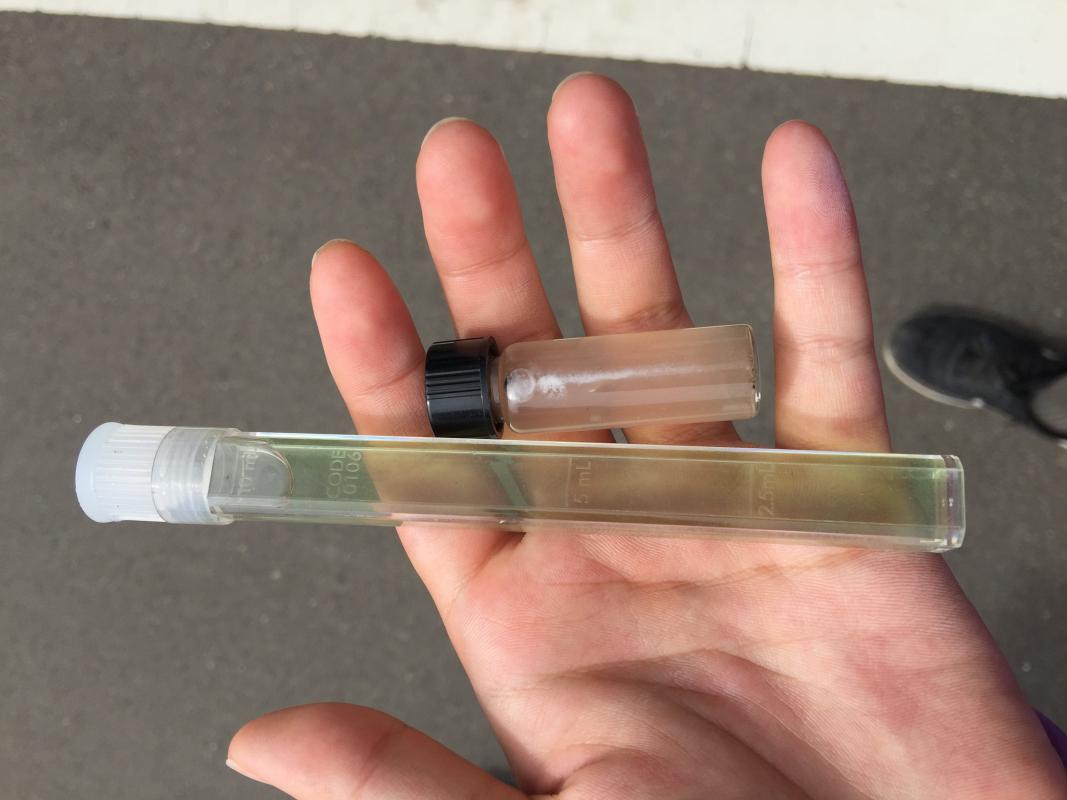 南崁溪水質檢測