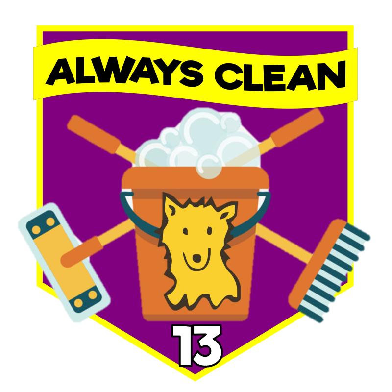 Always clean, Always to the rescue