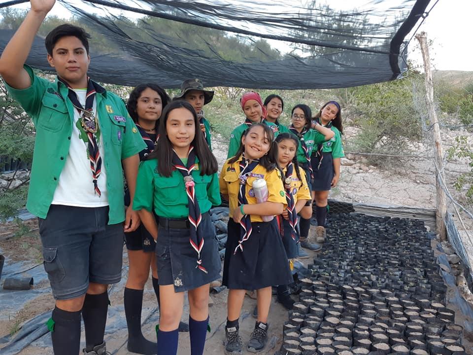 REFORESTANDO LAS ANIMAS , BCS, MÉXICO. SIERRA LA GIGANTA