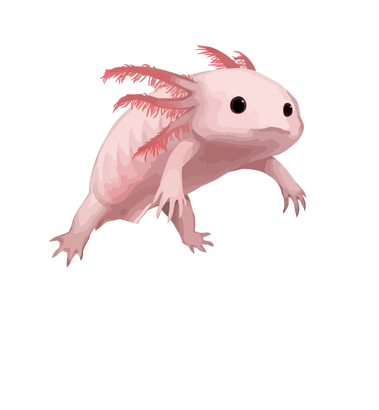 Experiencias al aire libre