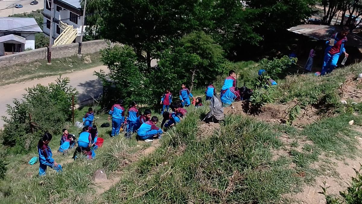 Go Green and Stay Green.