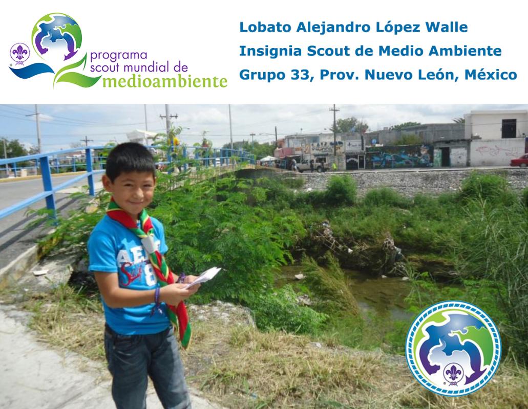 Insignia Scout Mundial de Medio Ambiente