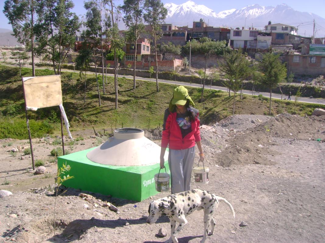 Forestando mi localidad