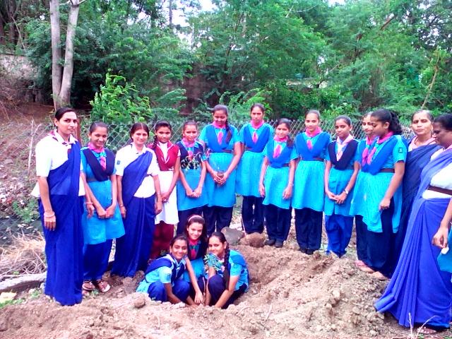 Tree plantation