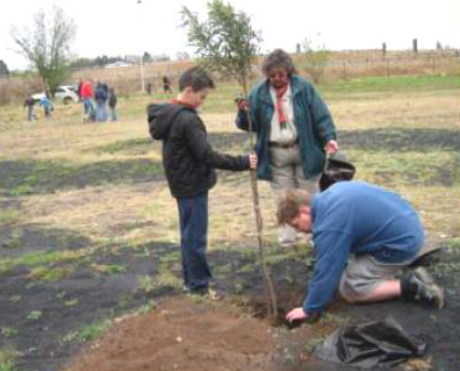 Arrowe Park indigenous garden and tree planting