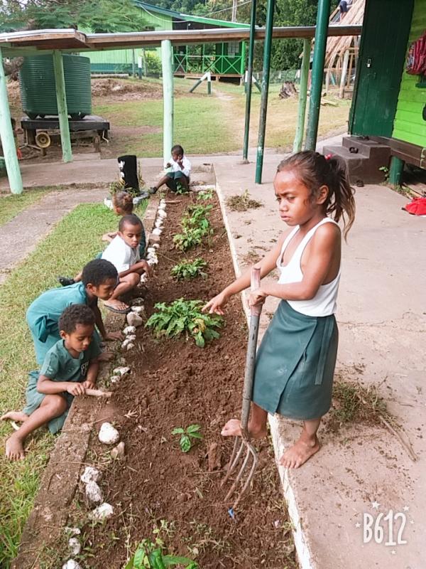 Years 1&2 of Lololo Primary School Planting flowers to Beautify the School.