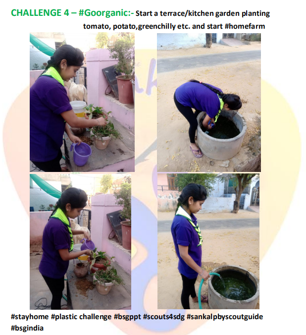 ENVIROMENT & SUSTAINBILITY #GO ORGANIC