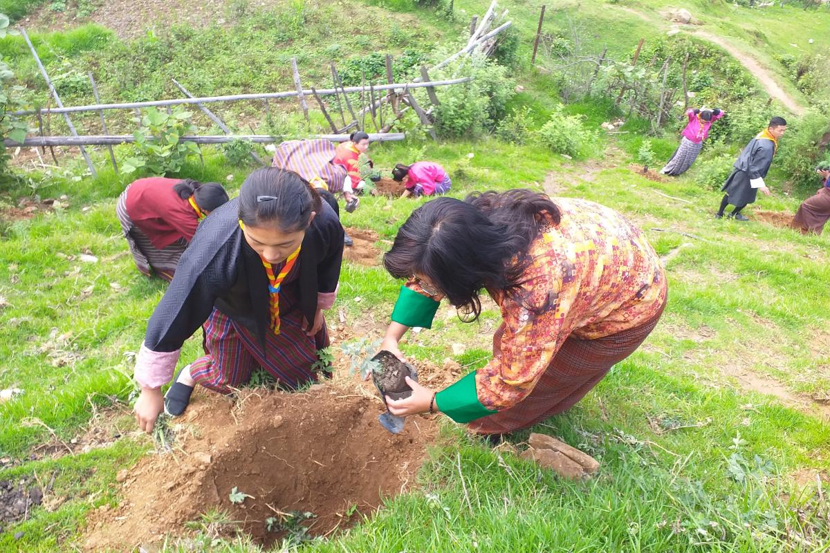 Social Forestry Day