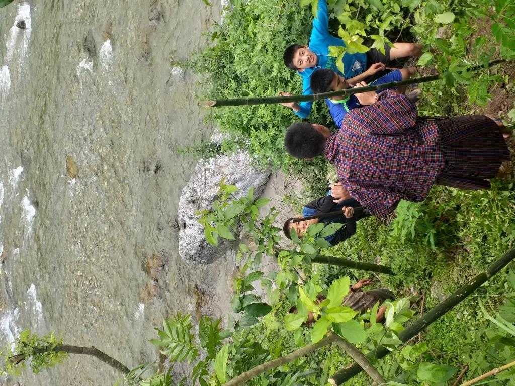Planting Bamboo Saplings along the Nyera Ama Chhu