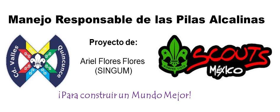 Manejo Responsable de Pilas Alcalinas