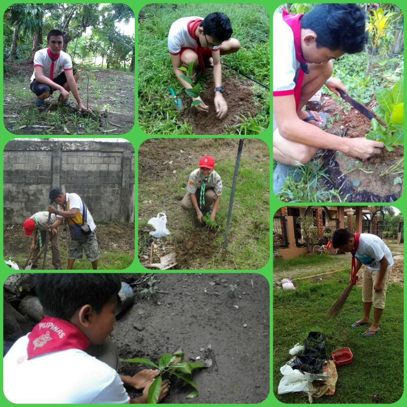 World Organization of Scouting Movement (WOSM) Tree Planting