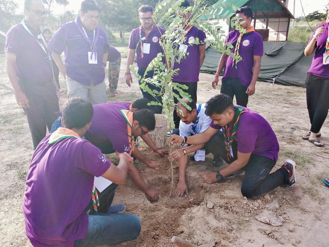 Tree Plantation 