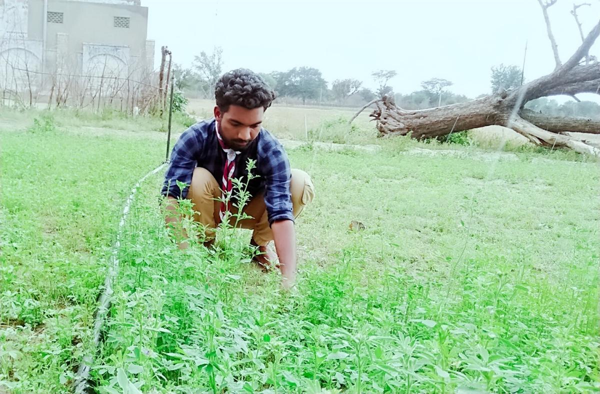 SANKALP PROJECT [B] Challenge (iv)#Goorganic
