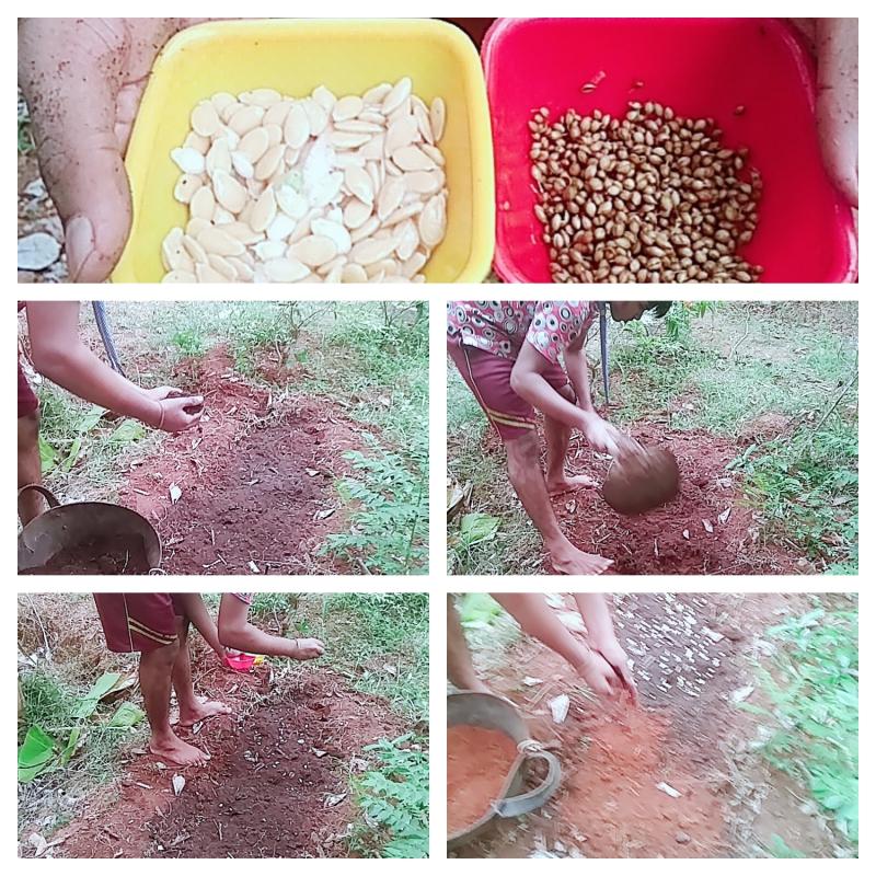 CHALLENGE B :- ENVIRONMENT & SUBSTAINABLITY :-Challenge 4-# Goorganic 