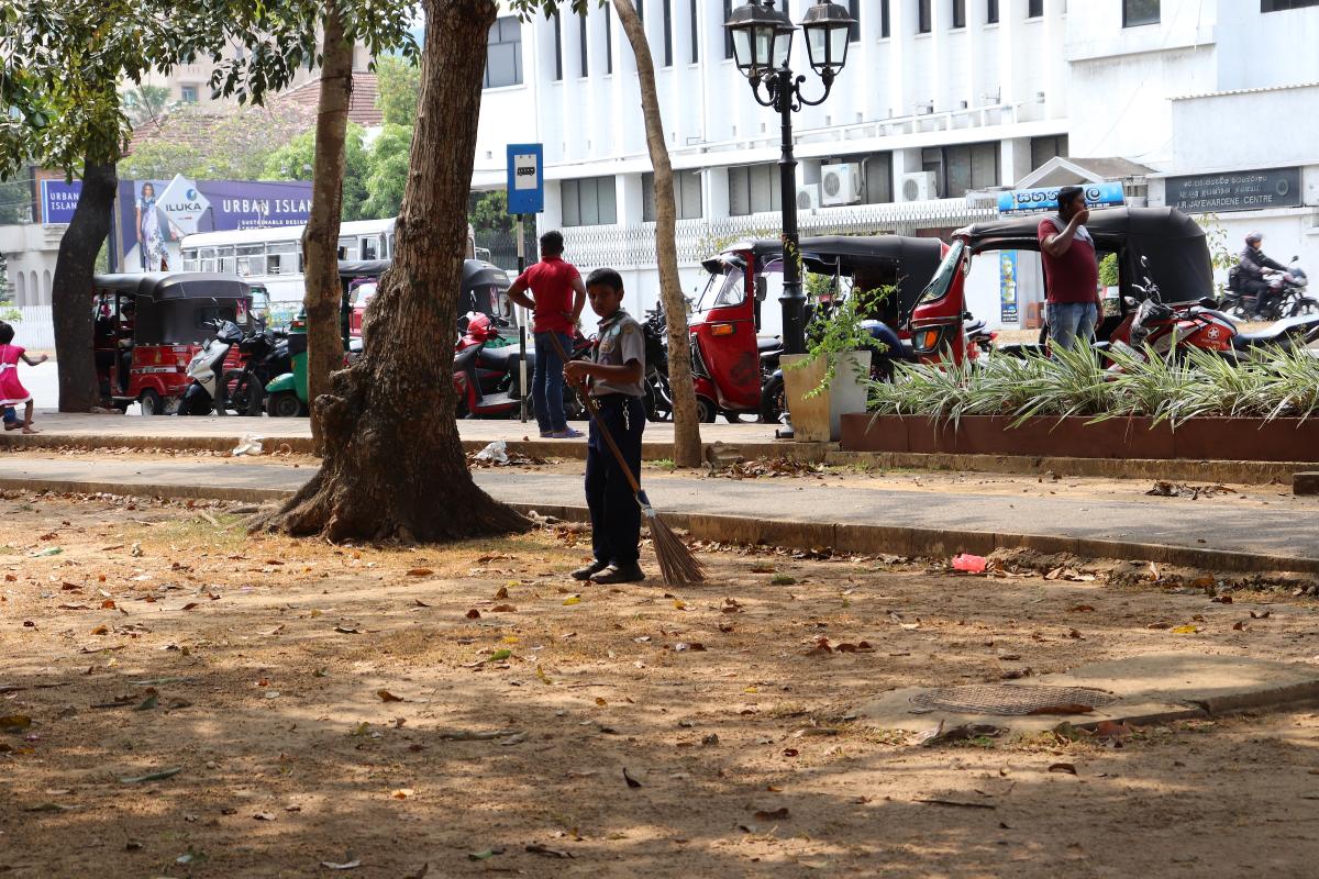 Creating a Pleasant Environment