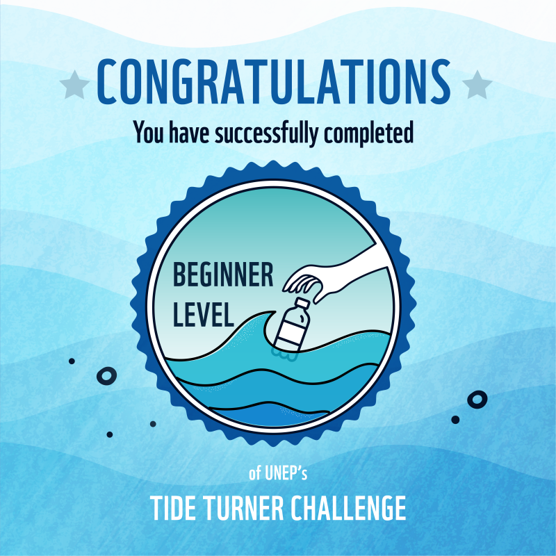 The Tide Turners Plastic Challenge
