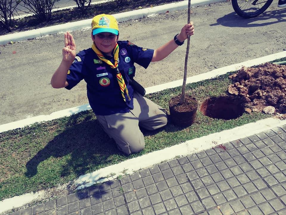 Tree for The World - GEPPB