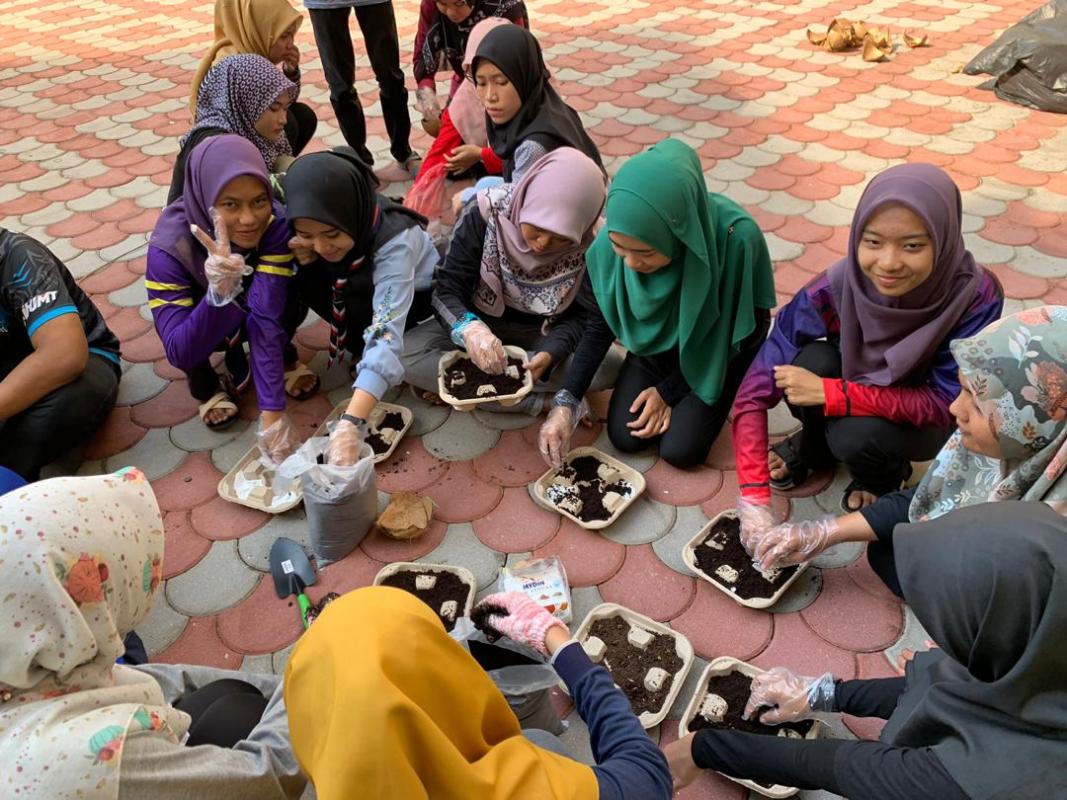 Organic Garden In School With Kids