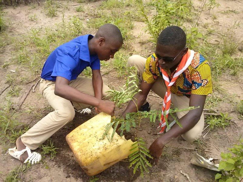 Trees for the World/ One scout One tree in Ivory Coast