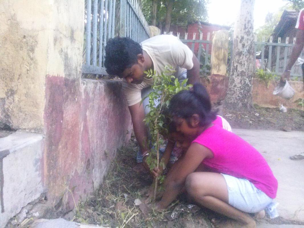 Plantation on World Environment Day