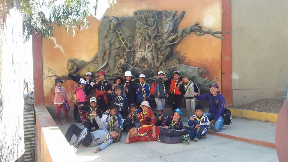 ARBOLES DAN VIDA