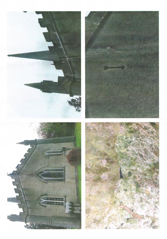 Bats of our local area