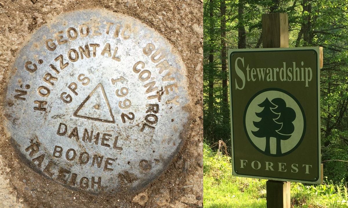 Camp Daniel Boone Conservation Project / Trees for the World project