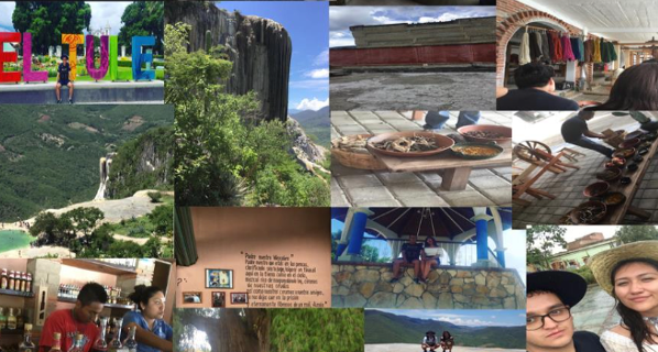 Proyecto Rover Horquilla Verde Viaje/Aventura (La Ruta del Mezcal