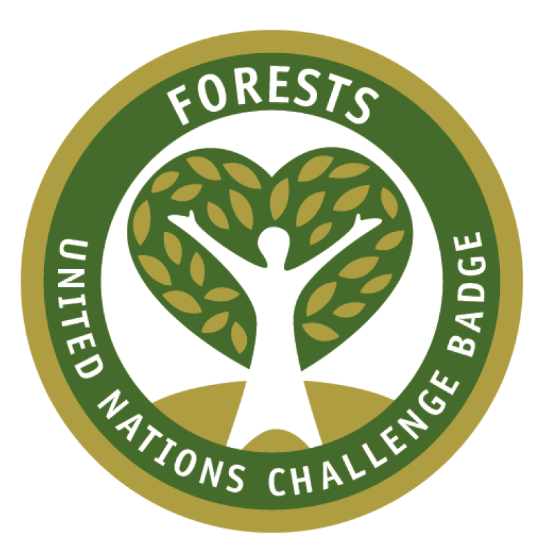 Insignia de Bosques "Forest Challenge Badge"