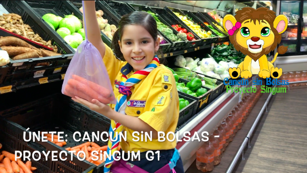 Cancún Sin Bolsas - Proyecto Singum G1
